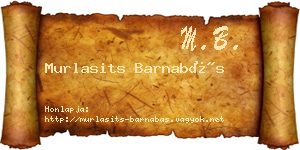 Murlasits Barnabás névjegykártya