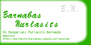 barnabas murlasits business card